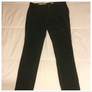 Pilcro & the Letterpress Dark Green Corduroy Pants